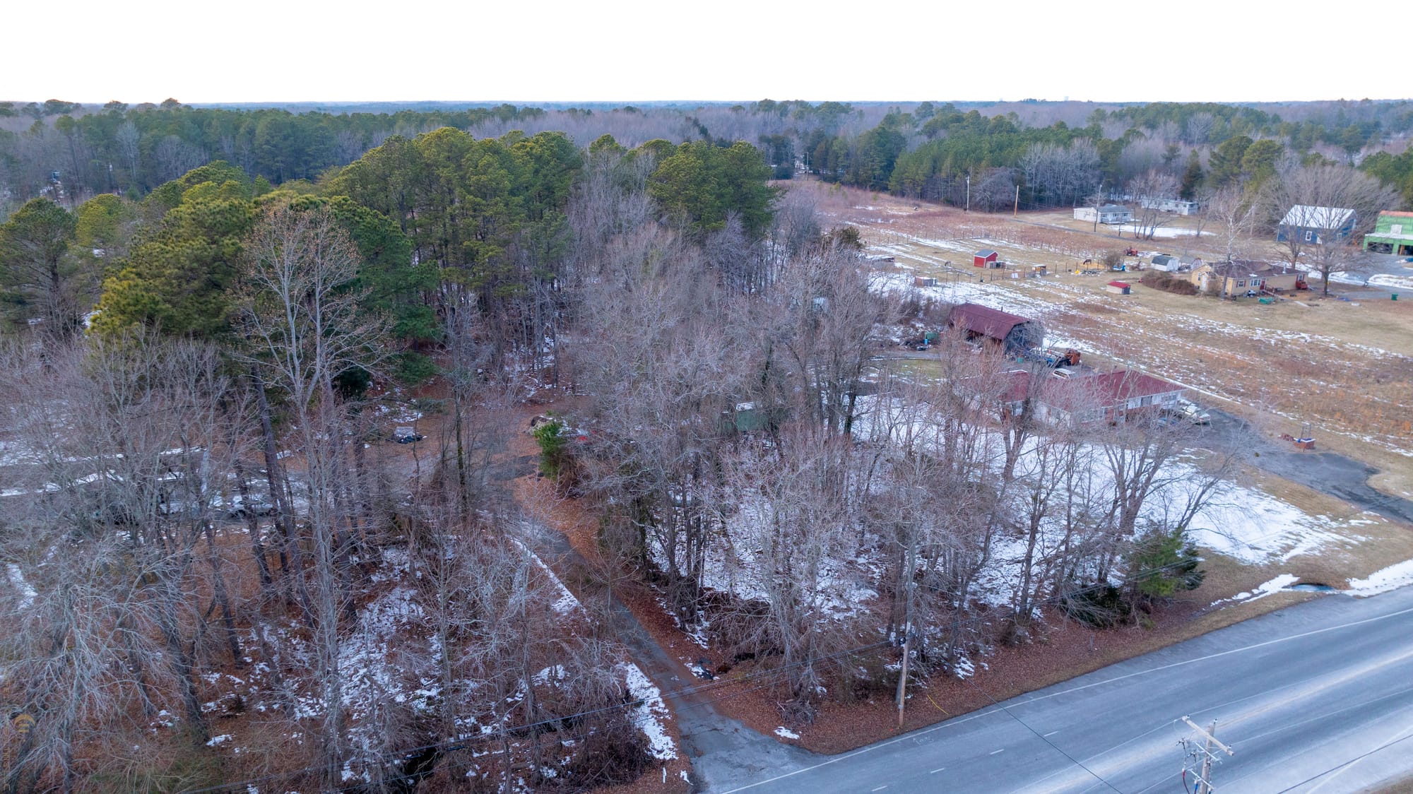 Willow Forest Lane